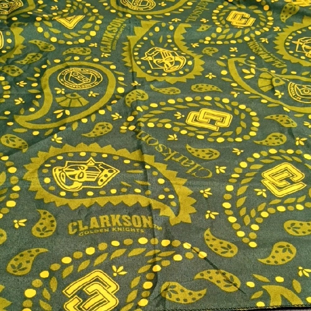 Clarkson University Green and Gold 20 1/2 Inch Scarf Chic Just